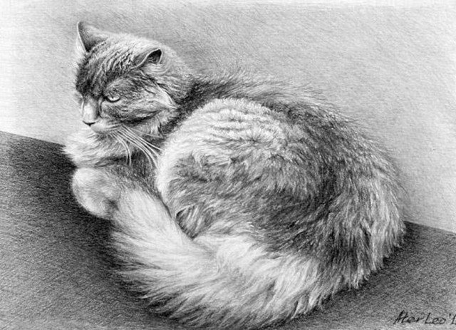 Шерсть карандашом. Кот карандашом. Кошка рисунок карандашом. Штриховка кошка. Шерсть кота карандашом.